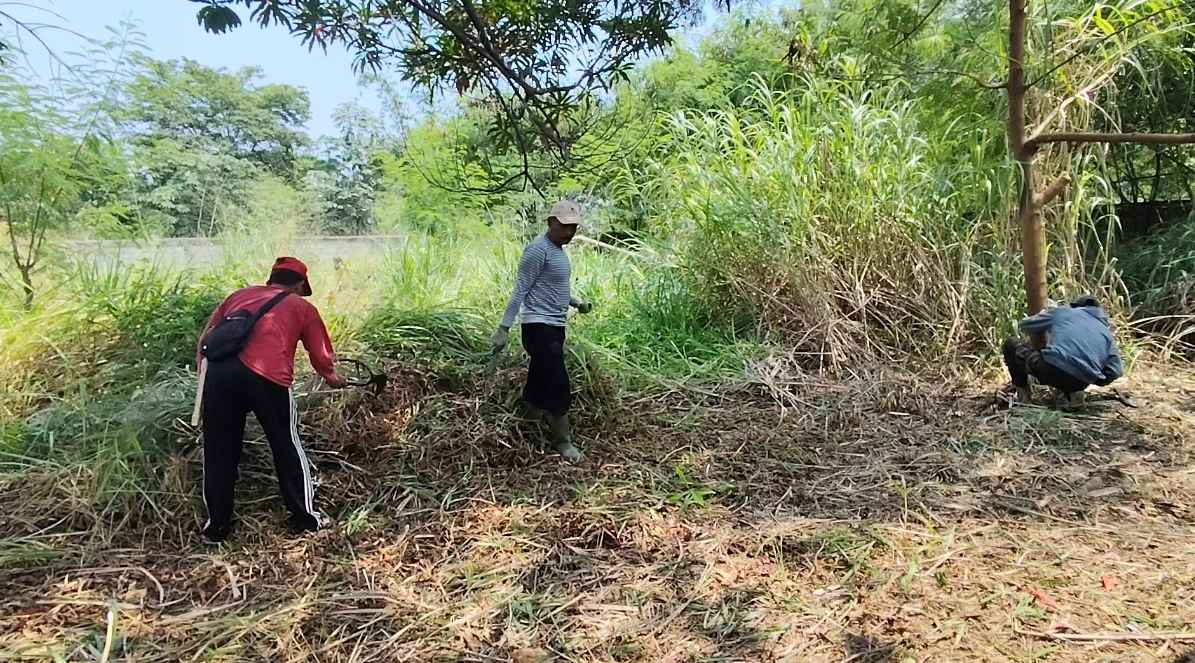 ‎Setelah Lama Terbengkalai, Lahan Wakaf di Anggrek Raya Dibersihkan, Pembangunan Kembali Segera Dimulai