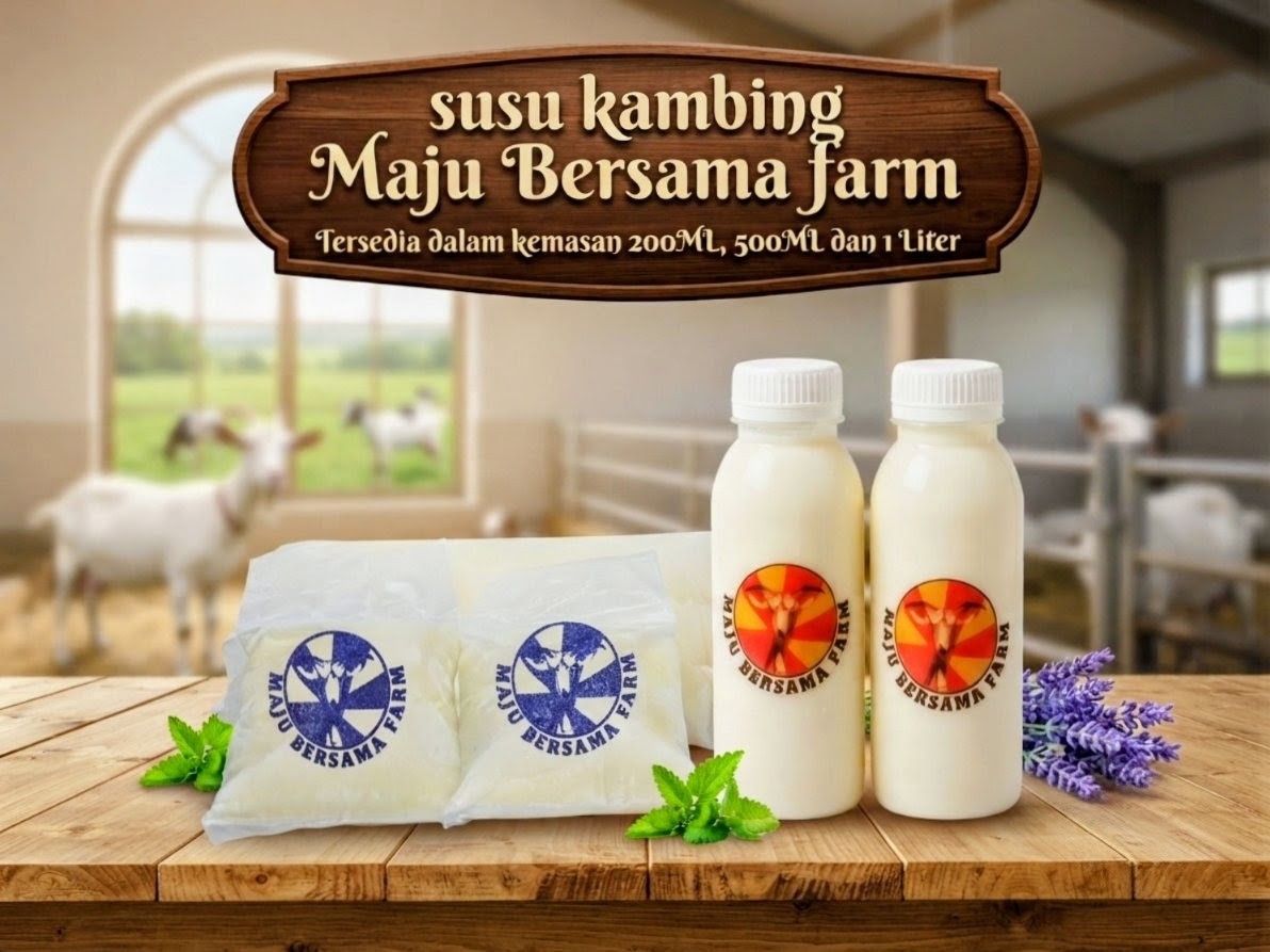 Maju Bersama Farm, Rekomendasi Produsen Susu Kambing Etawa Nomor 1 Di Bogor