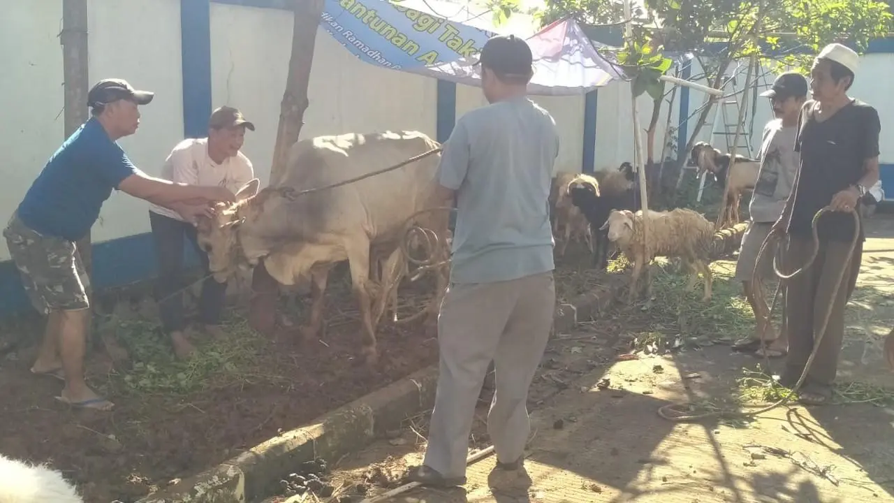 PWI Kabupaten Bogor Tebar Kepedulian di Idul Adha 1447 H, Sembelih 1 Sapi dan 9 Kambing