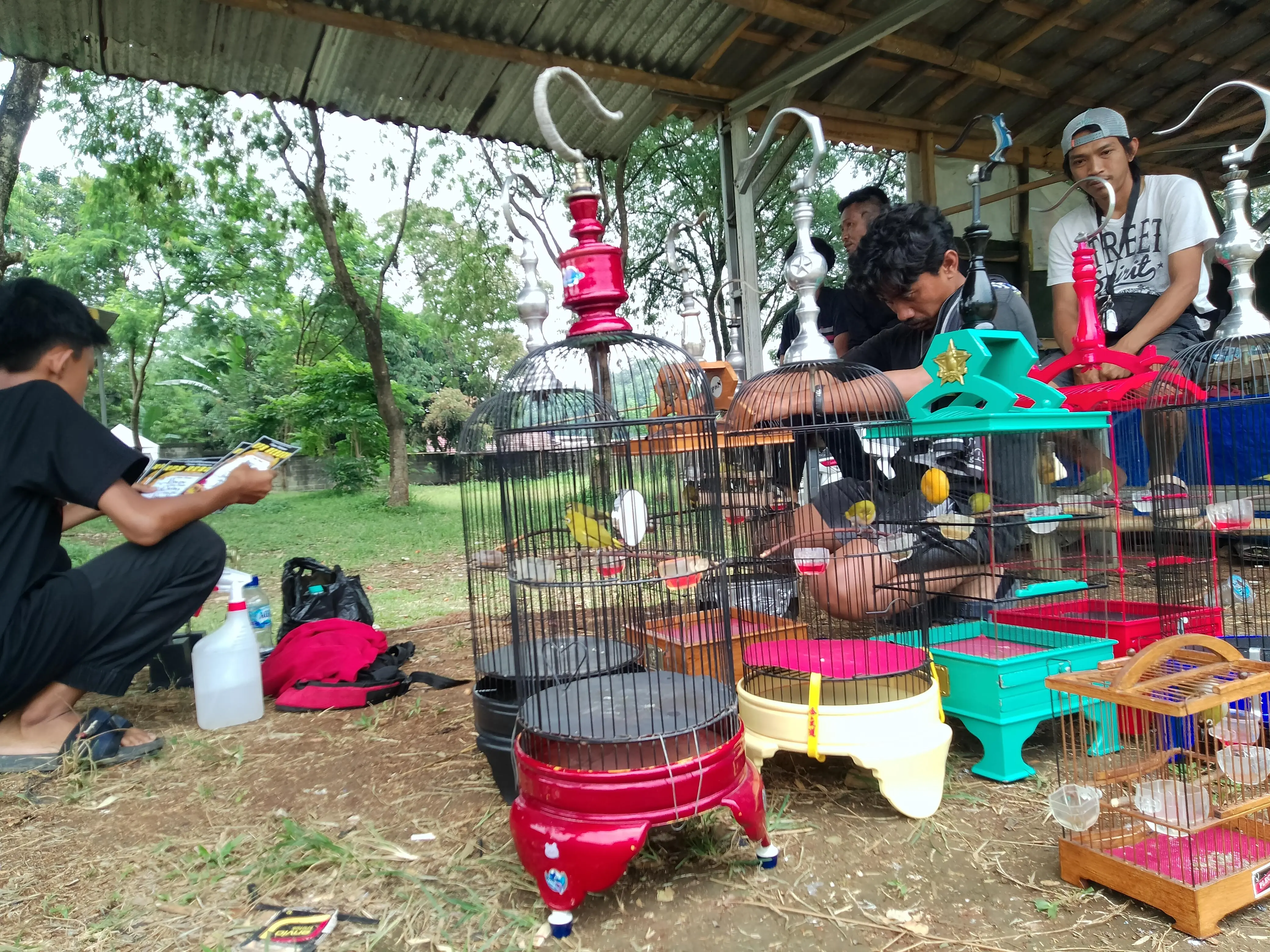 Lomba Burung Pleci dan Sogon di Lapangan KKC Bogor Ajang Kompetisi dan Silaturahmi