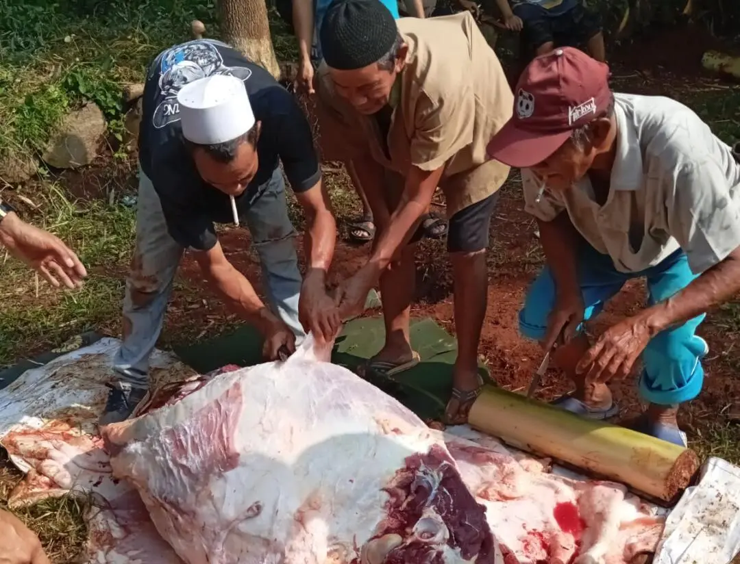 Masjid At Taubah Tajurhalang Sembelih 7 Ekor Hewan Qurban