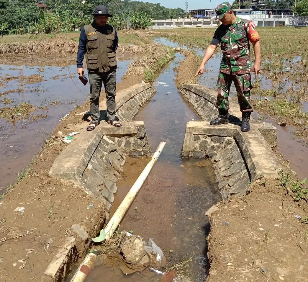 Hasil Panen Kurang Bagus, Babinsa Tinjau Saluran Irigasi