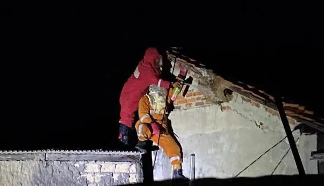 Warga Kota Bogor Meninggal akibat Disengat Tawon
