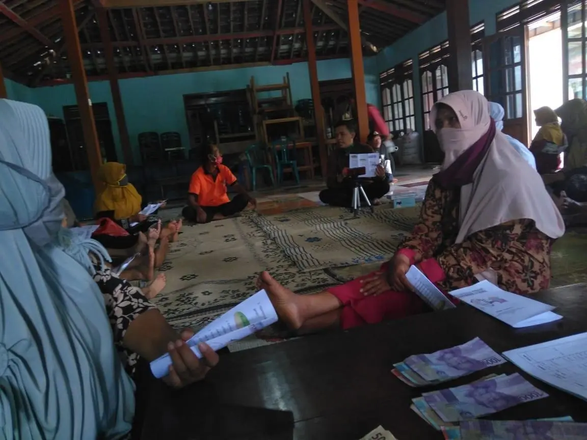 Rebusan Daun Salam Efektif Menurunkan Tekanan Darah Hipertensi