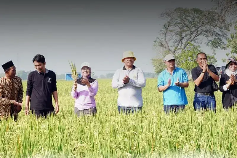 Petani Madiun Jawa Timur Diminta untuk Meningkatkan Penggunaan Pupuk Organik