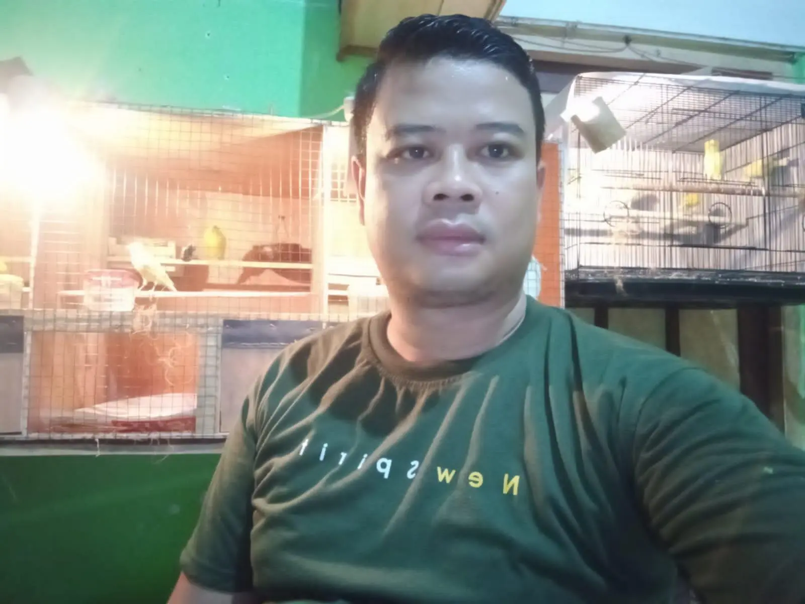 Sukses Ternak Burung Kenari, Rana Saputra Raih Cuan Jutaan Rupiah