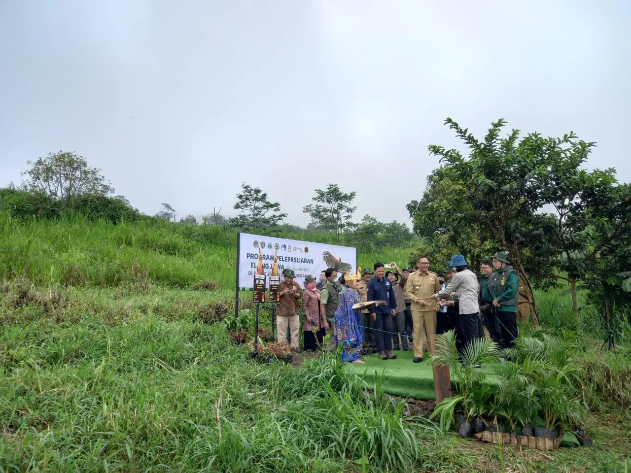 Smelting, Taman Safari Bogor dan KLHK Lepasliarkan Satu Pasang Elang Jawa Kebanggaan Indonesia