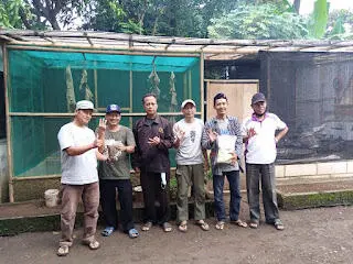 Komunitas Gemancling Depok Studi Banding Budidaya Maggot di Saung Mitra Ruhay