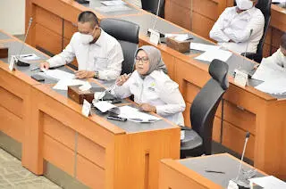 Bupati Bogor Sampaikan Pendapat UU HKPD dengan Banggar DPR RI
