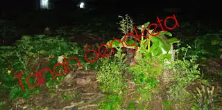 Kades Curug Jelaskan Terkait Permasalahan Tanah Diwilayahnya
