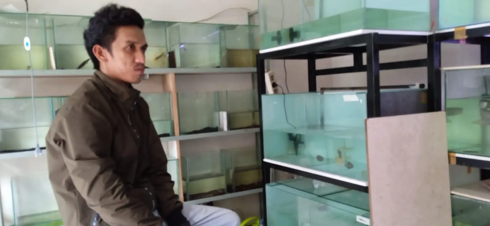 Geliat Bisnis Ikan Hias Di Pasar Parung Terus Eksis, Walaupun Di Masa Pandemi