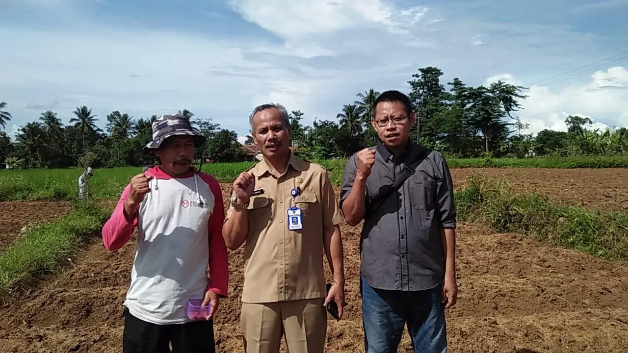 Koperasi Produsen Bahtera Farm Sejahtera Inisiator Penanaman Edamame