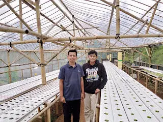 BumDes Gerbang Emas Nanggung Punya Green House Hidroponik