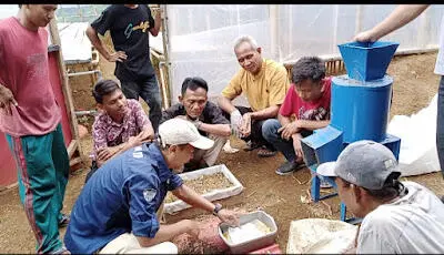 BumDes Gerbang Emas Adakan Pelatihan Budidaya Maggot