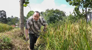 Pimpinan DPRD Panen Raya Bersama Warga
