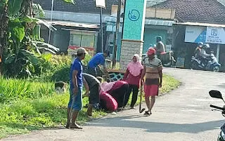 Dukung Hijaukan Bumi Reyog, Pemdes Ngunut Tanam Bunga Keliling Desa