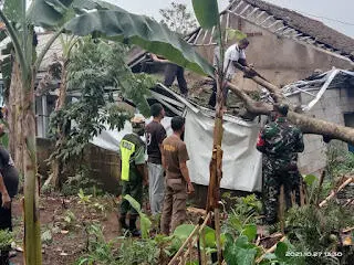 Dua Rumah Warga di Tamansari Tertimpa Pohon Tumbang