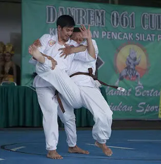 Kejuaraan Pencak Silat Danrem Cup 2021 Lahirkan Prestasi Baru