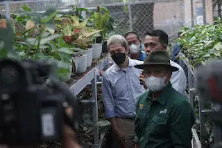 Dedie Rachim Dampingi Menteri Teten Lihat Potensi Tanaman Hias di Minaqu Indonesia