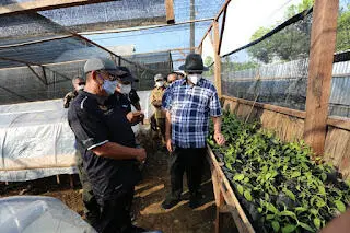 Budidaya Vanili Dorong Pengembangan Rempah Provinsi Banten