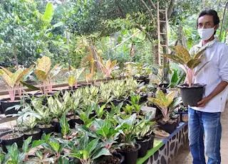 Warga Desa Gunung Geulis Ingin Kampungnya Jadi Sentra Tanaman Hias