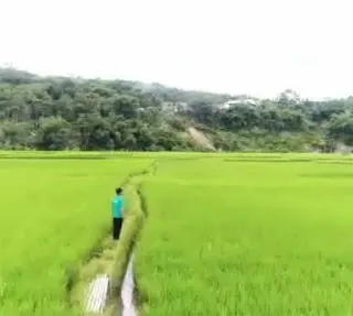 Soal Data Kebutuhan jadi Pangkal Masalah Kebijakan Pupuk Bersubsidi