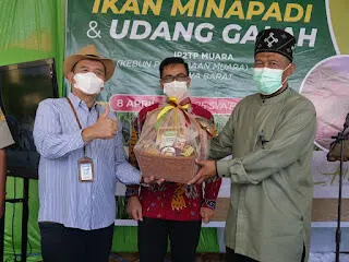 Temu Lapang Silaturahmi Dipanen Ikan Minapadi Udang Galah