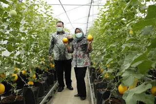 Pemkab Bogor bersama IPB Terus Kembangkan Potensi Pertanian